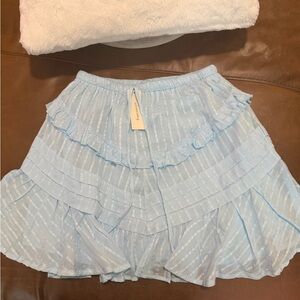Francesca's Collections Sky Blue Skater Skirt